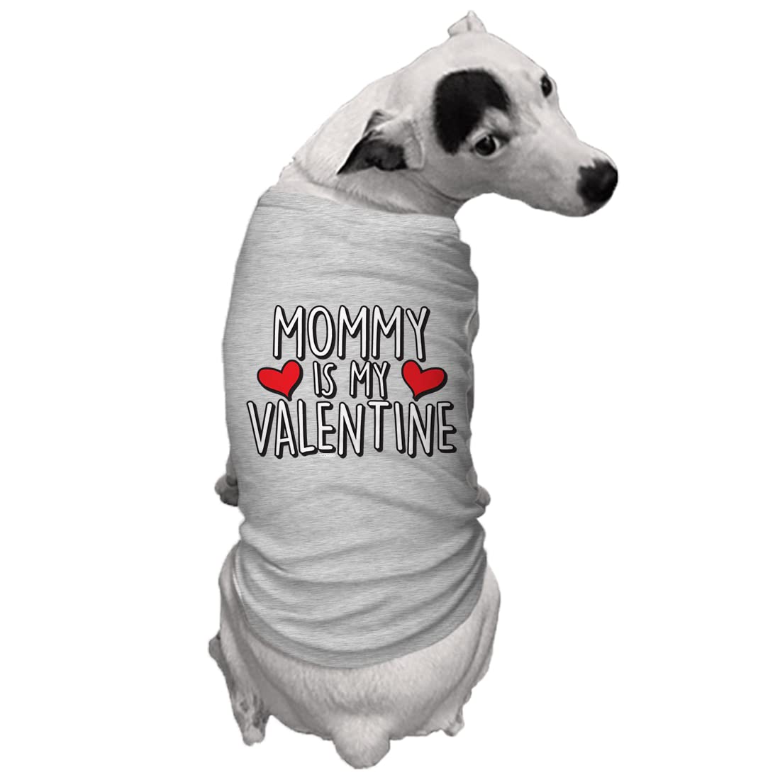 Tcombo Mommy Is My Valentine Dog Shirt (Light Gray, Small)